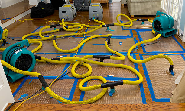 Professional Basement Flood Cleanup technician working in Northvale, NJ